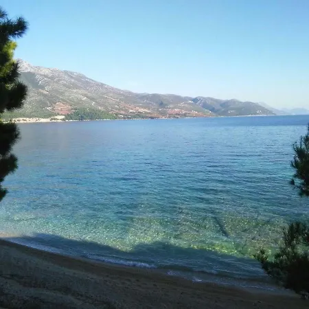 Lidija * أوروبيتش